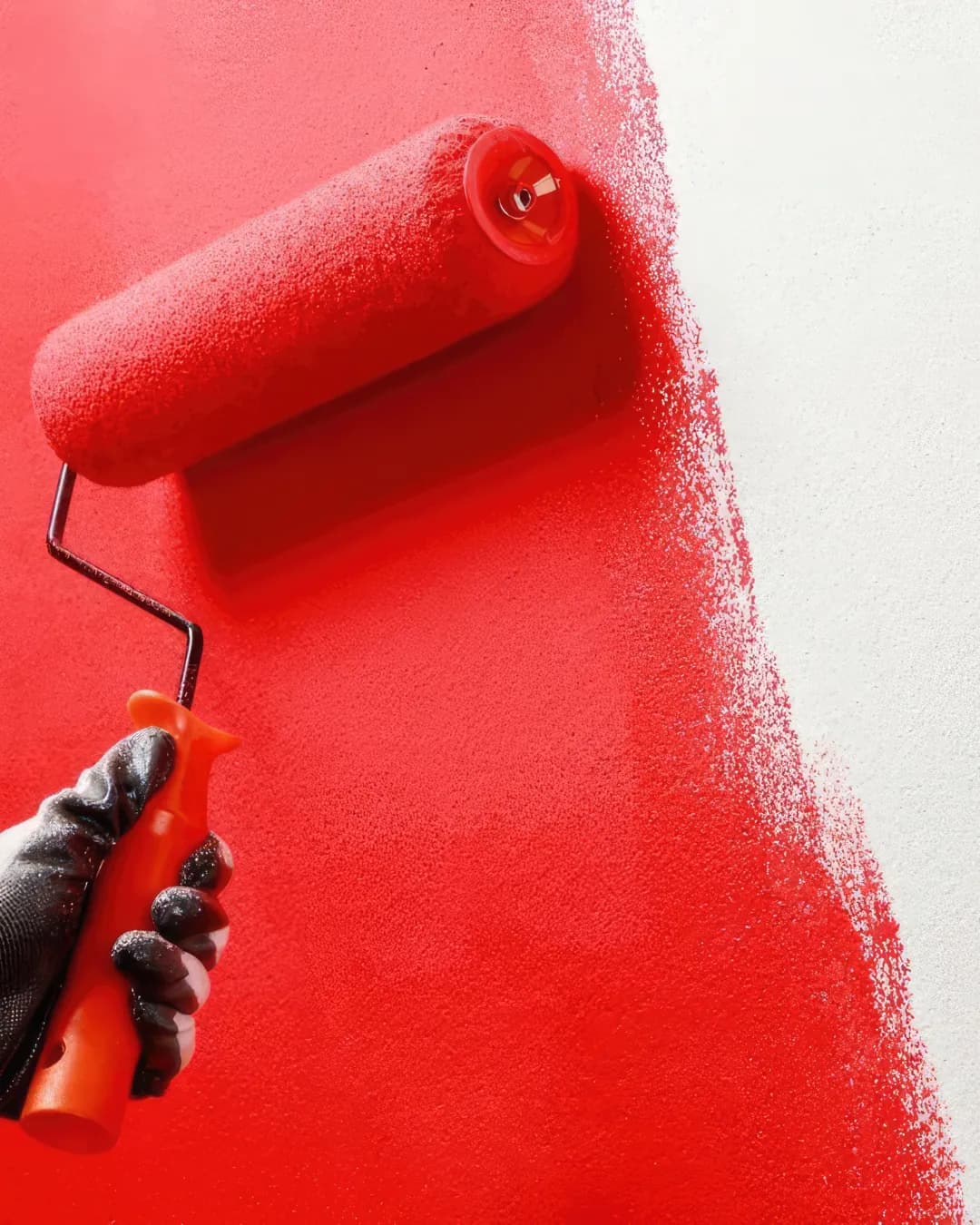 Paint and wall finish materials selected for a project